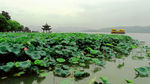 唯美杭州西湖美景