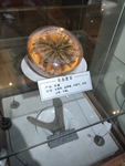 冬虫夏草