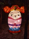 花灯会