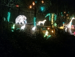 灯展