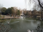 风景