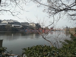风景