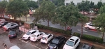 街景 马路   绿树 汽车 道