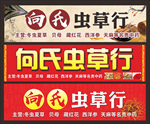 虫草海报