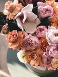 玫瑰花