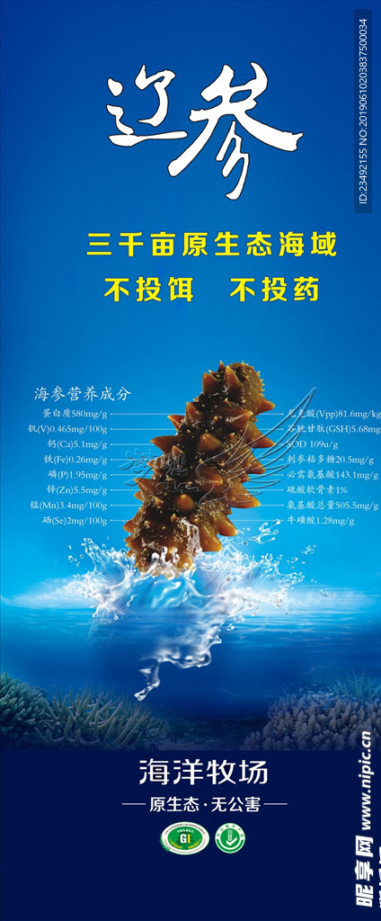辽参海报
