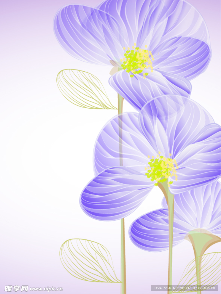 蓝紫色的桔梗花