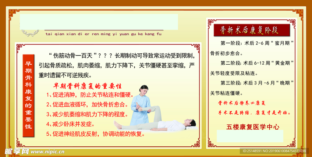 展板骨折后康复