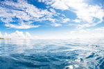 海水