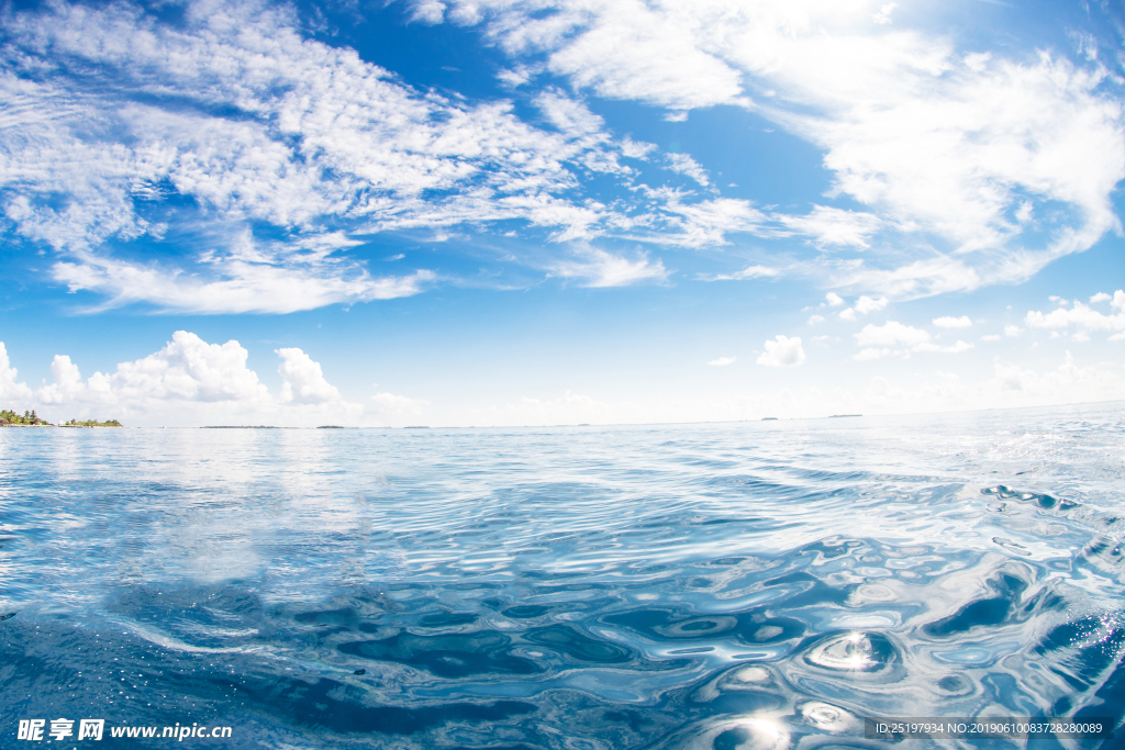 海水