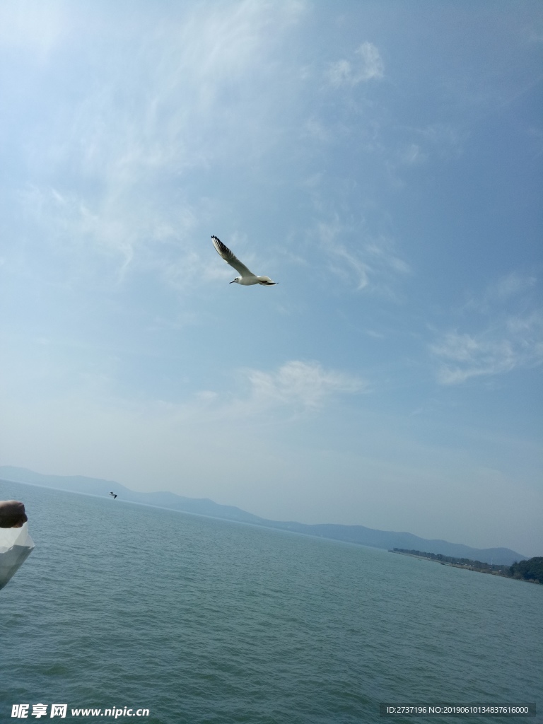 鼋头渚风景