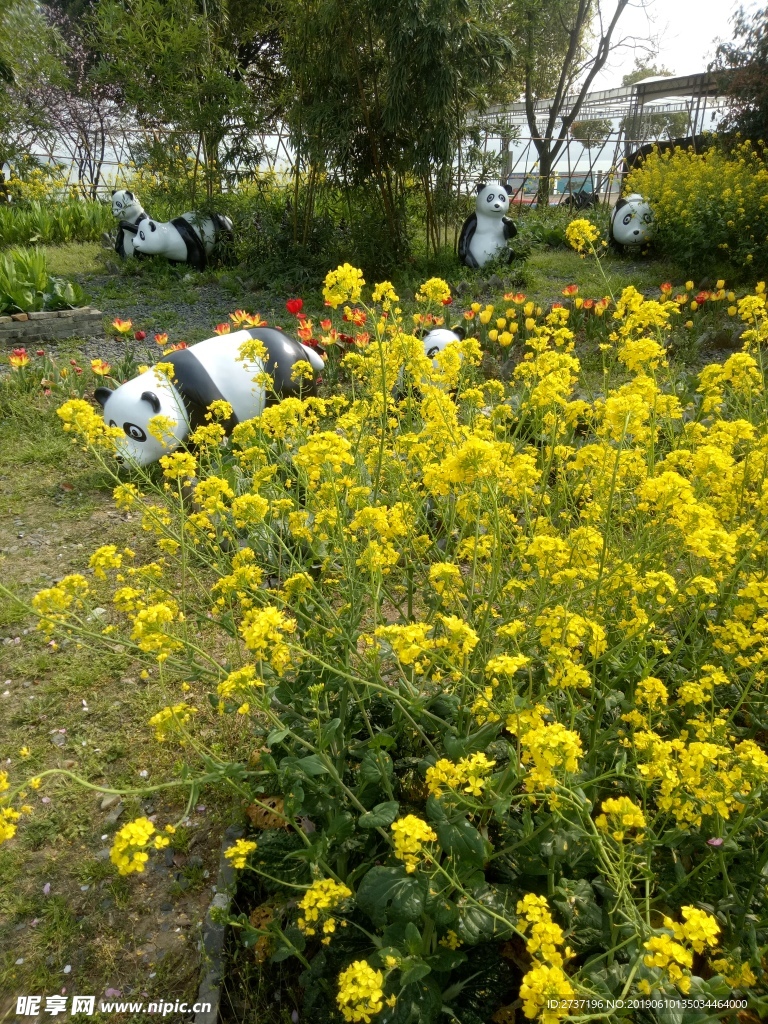 田园风景