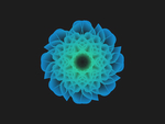 一朵花