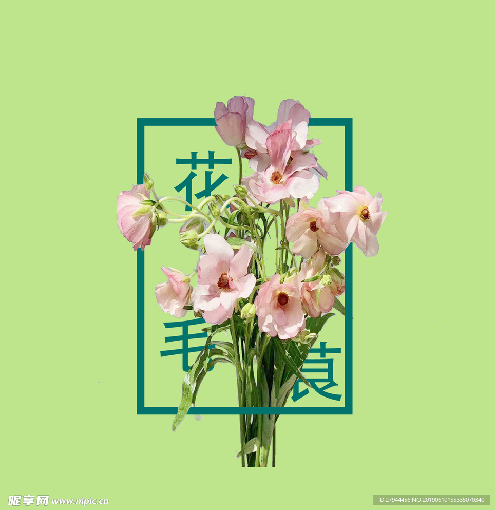 花的介绍