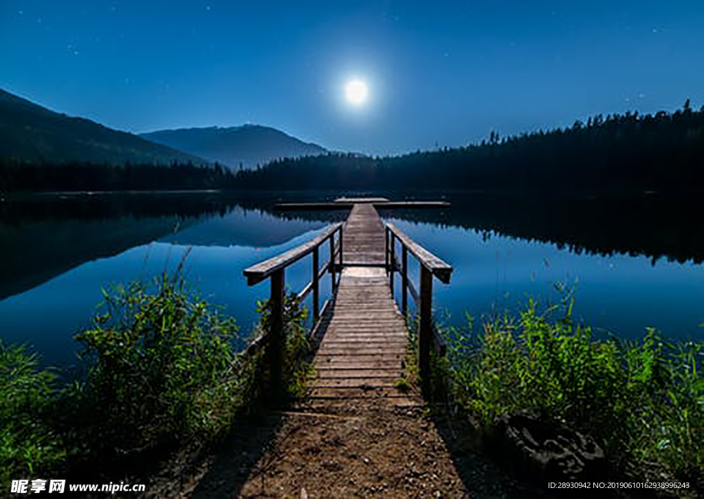 夜景海洋