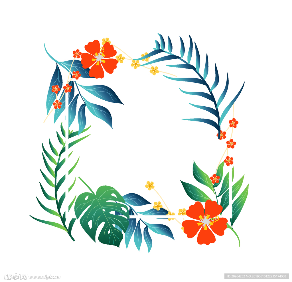 夏天叶子素材