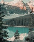 山水