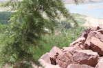 山林