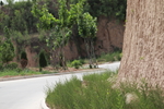 山间道路