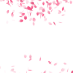 花瓣免抠素材