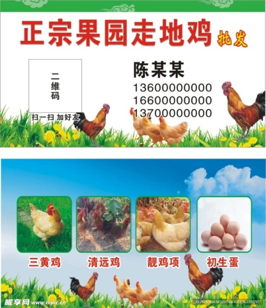鸡名片