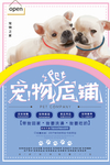 宠物店促销活动海报