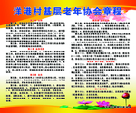 老年协会章程