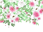 花朵 绿叶  网红背景 鲜花
