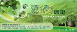 薄荷画纸