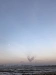 旷野