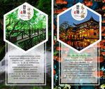 旅游图