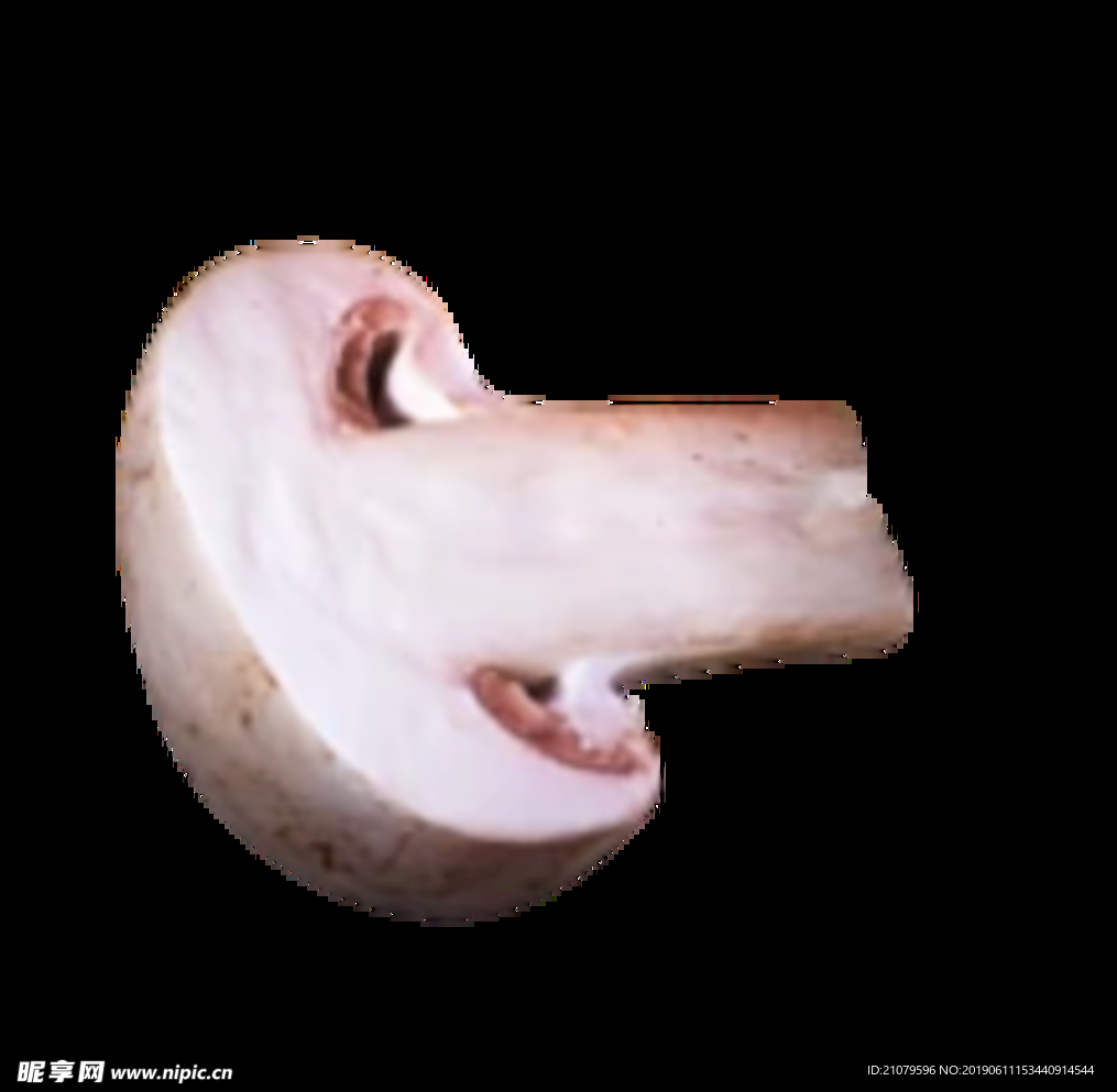 蘑菇