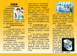 三折页颈椎反