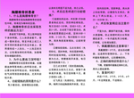 三折页胸腰椎反