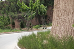 山路