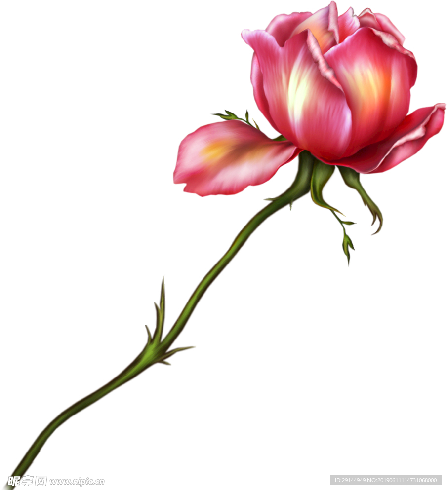 绝美手绘鲜花花束超清透明PNG