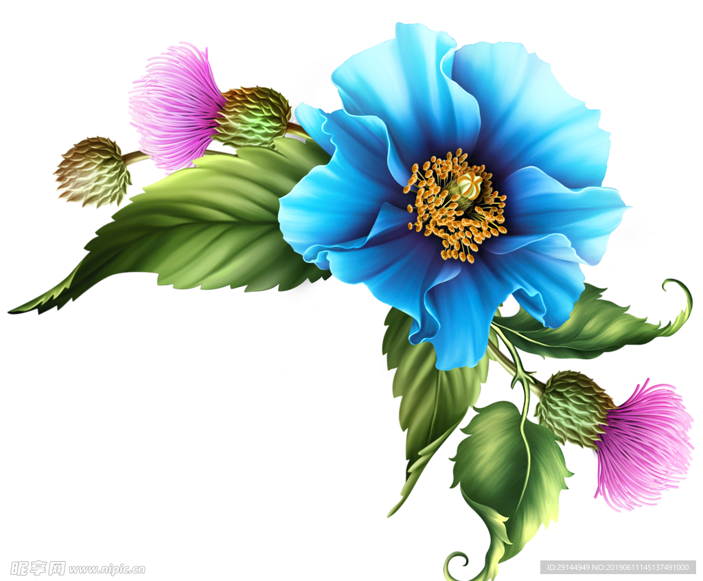 绝美手绘鲜花花束超清透明PNG