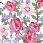 花卉