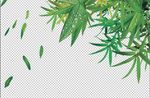 竹子设计素材