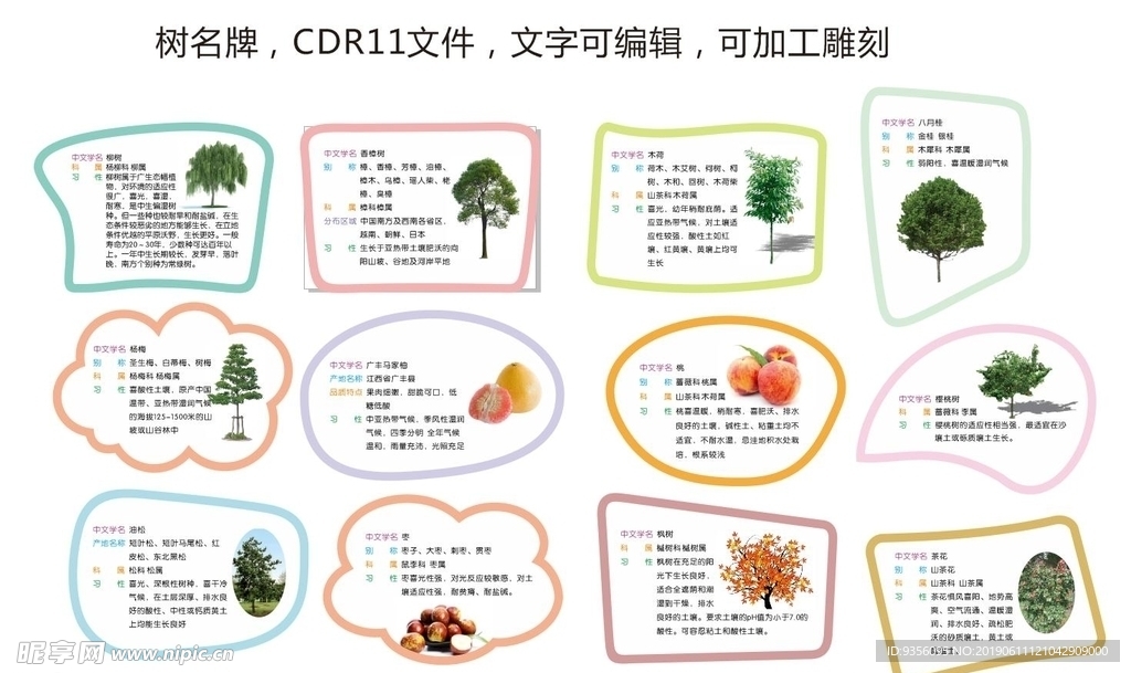 各种树牌异形牌简约风学校