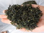 绿茶 江北绿茶 生态茶园 生态