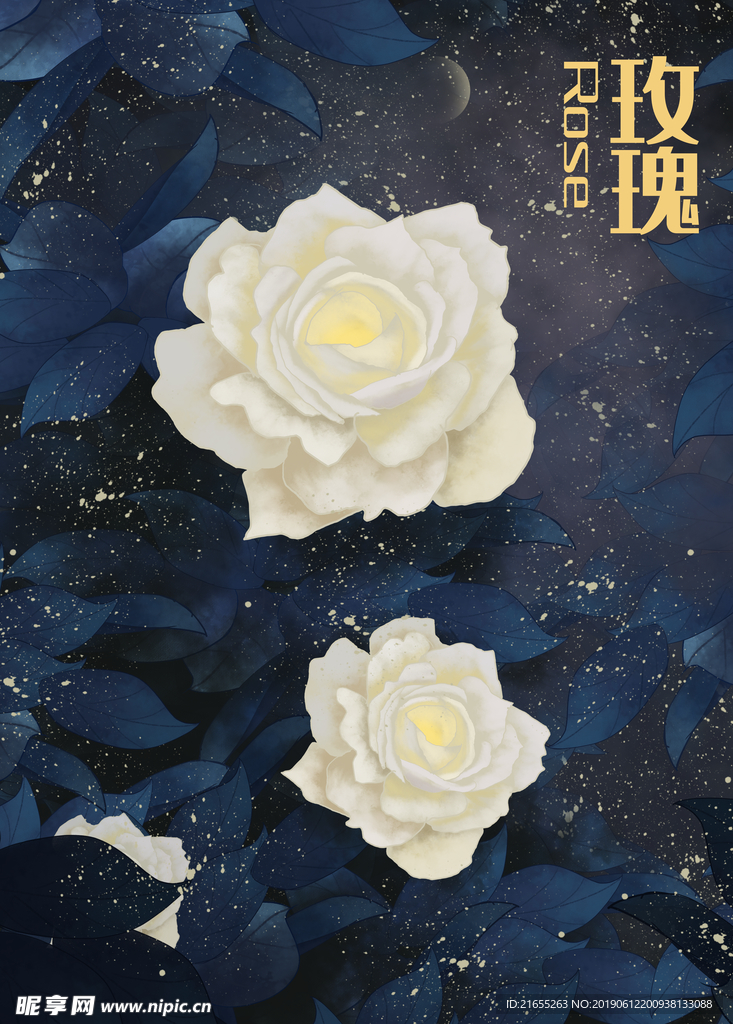 白玫瑰海报