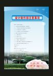 蓝色展公主风梦想