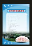 蓝色展公主梦晨
