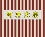 公司文化