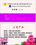 鲜花饼名片