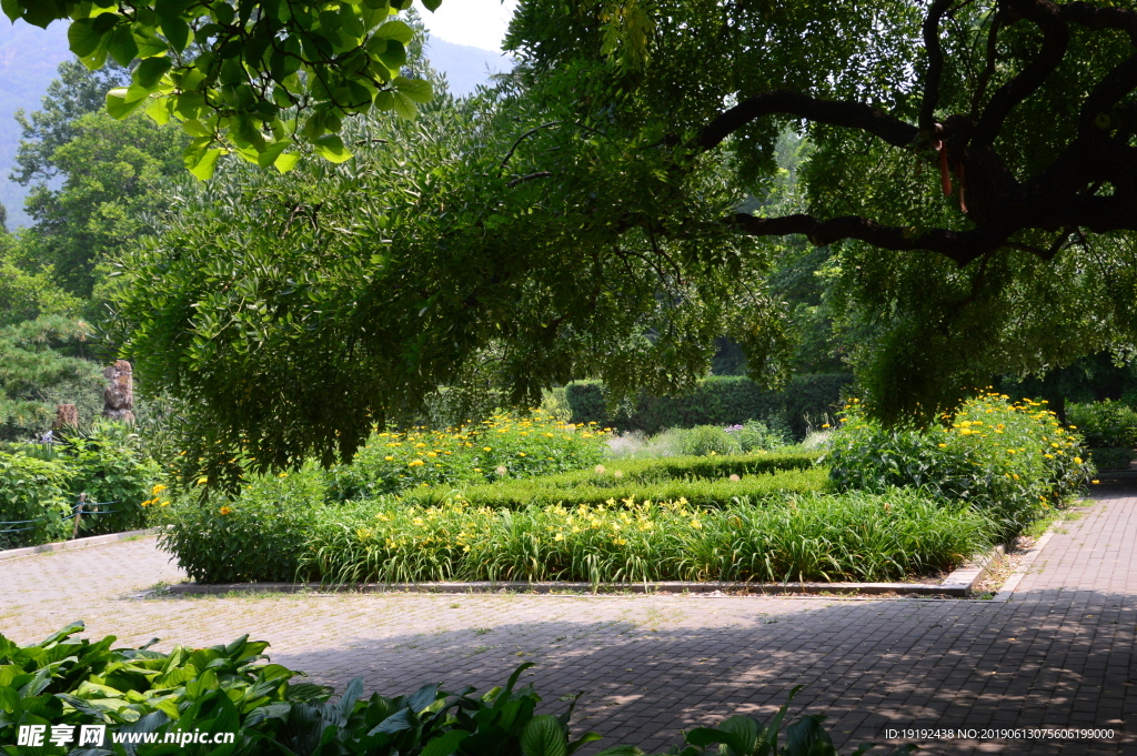 植物园美景