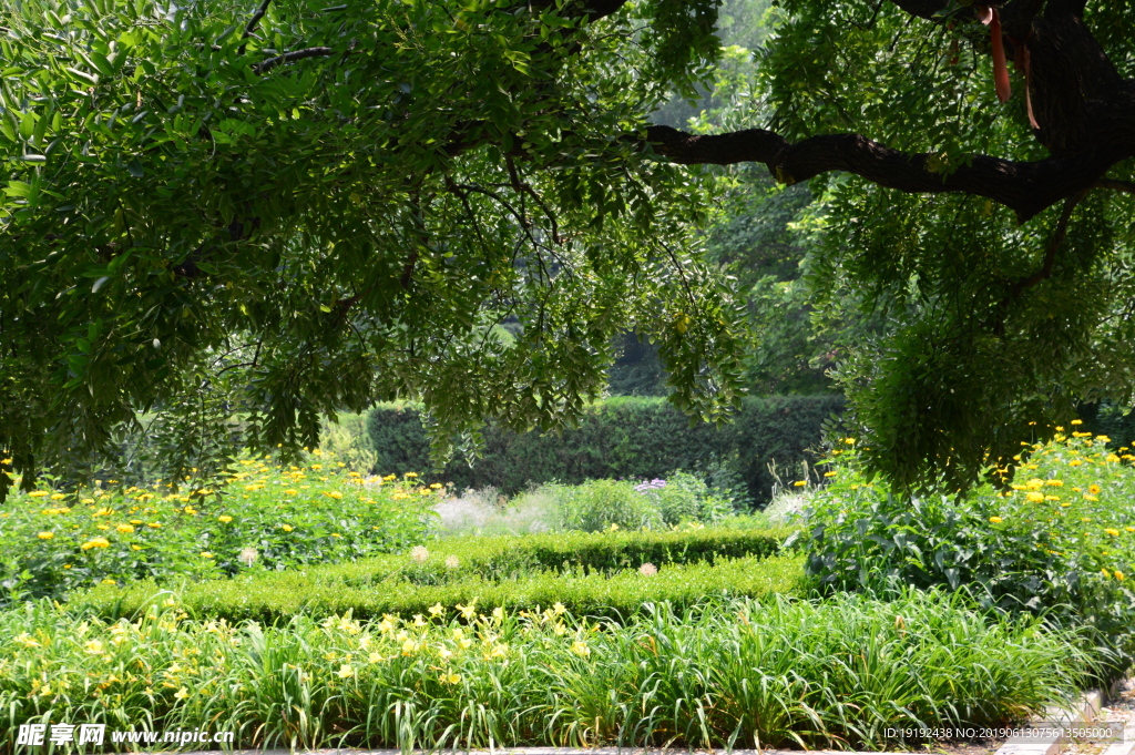 植物园美景