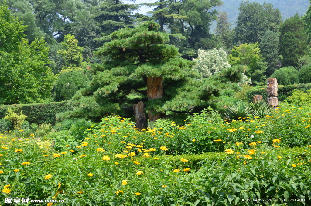 植物园美景