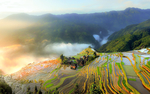 梯田背景